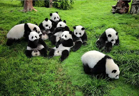查看第 1 張圖片