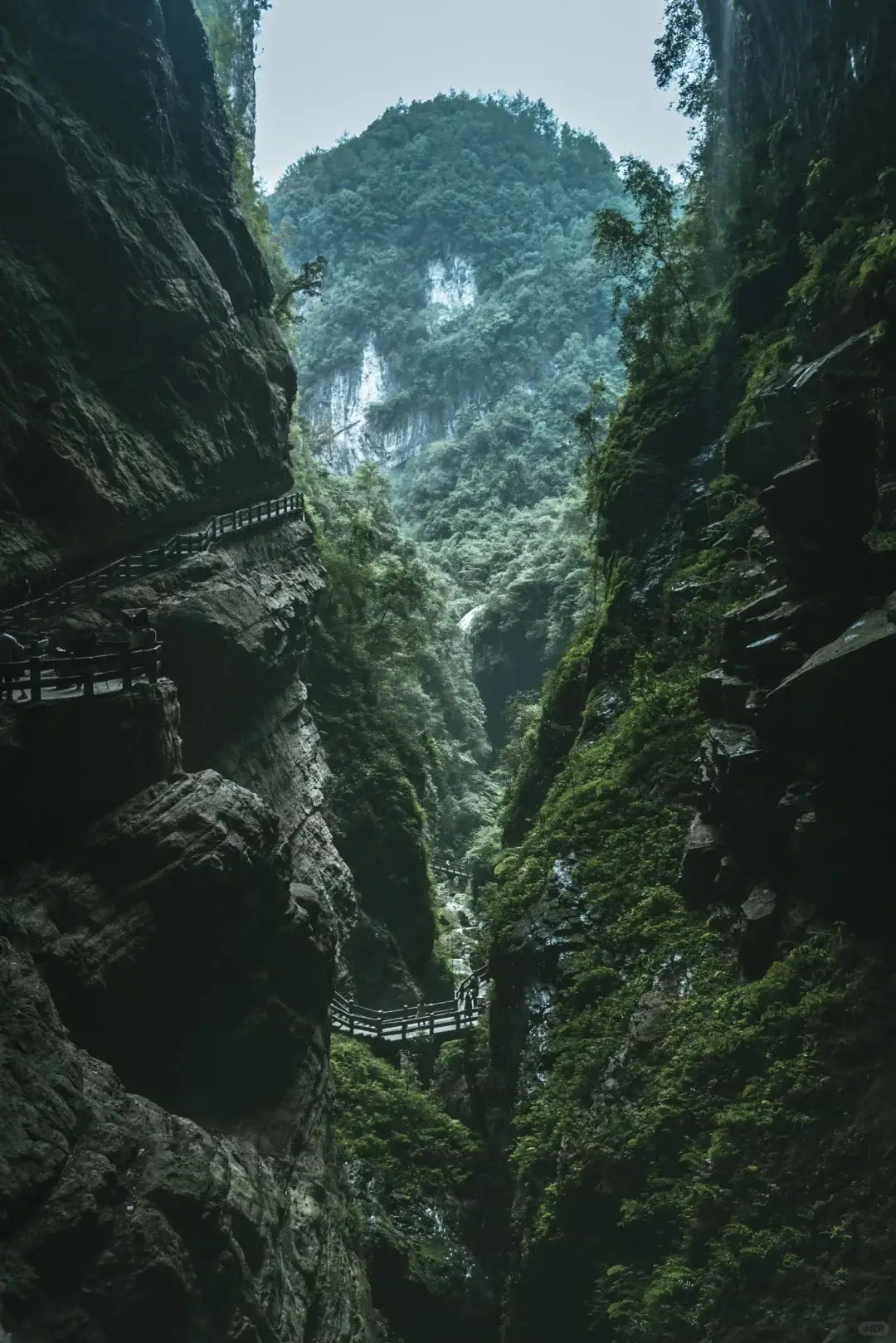 龍水峽地縫 2