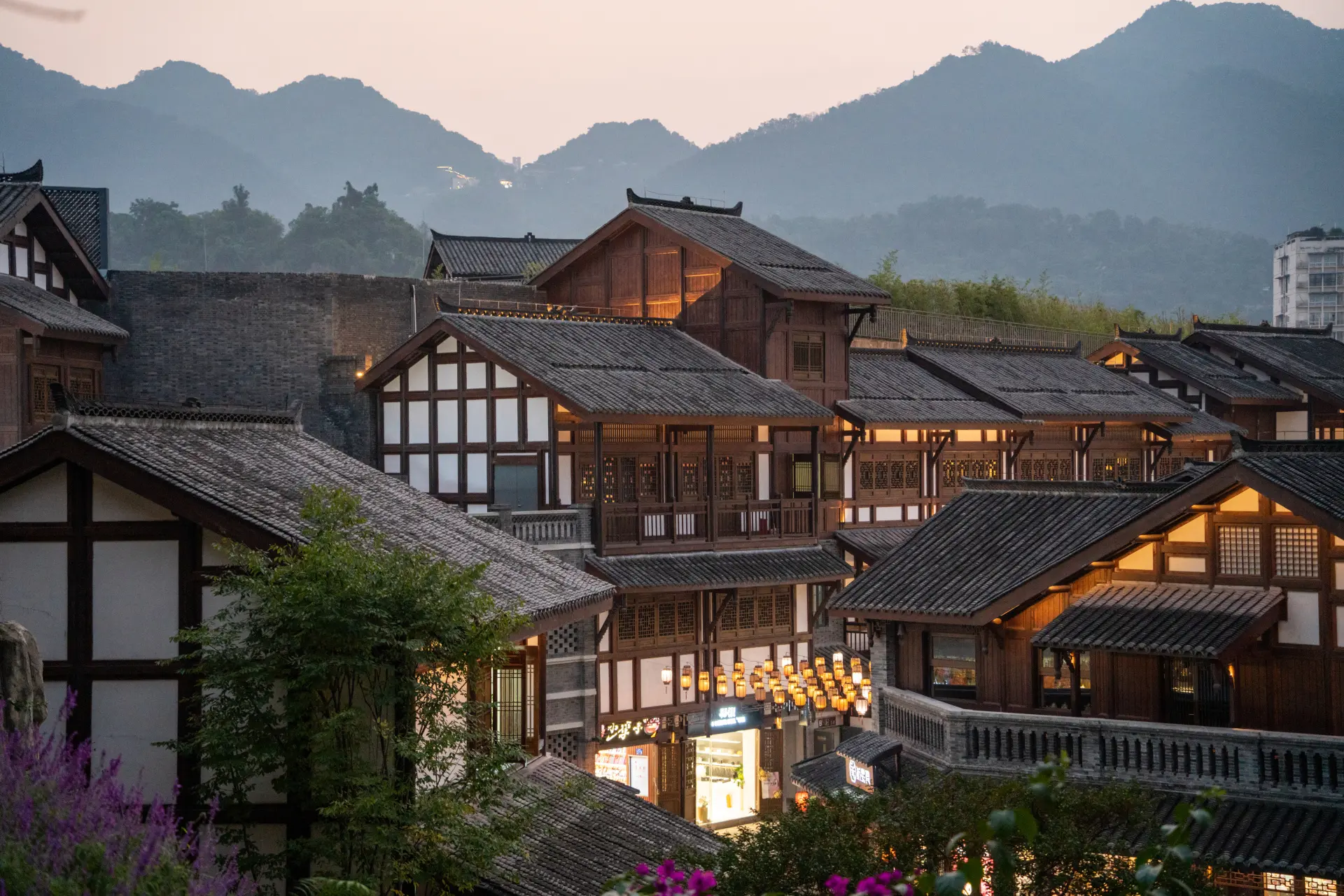 沙坪壩區 1