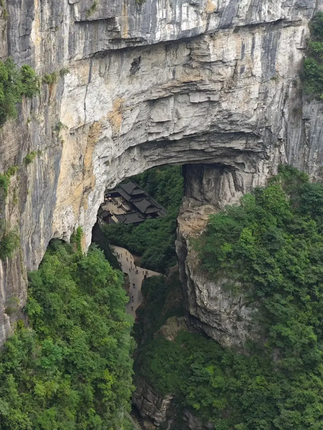天生三橋 2