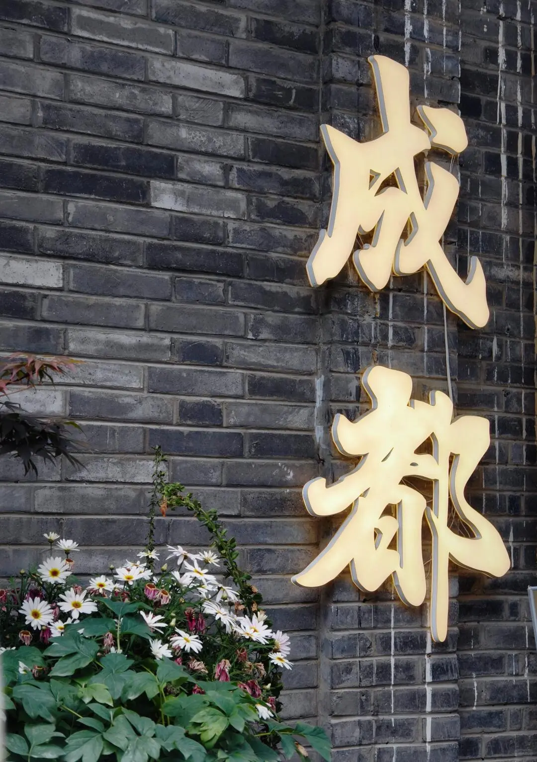 寬窄巷子 2