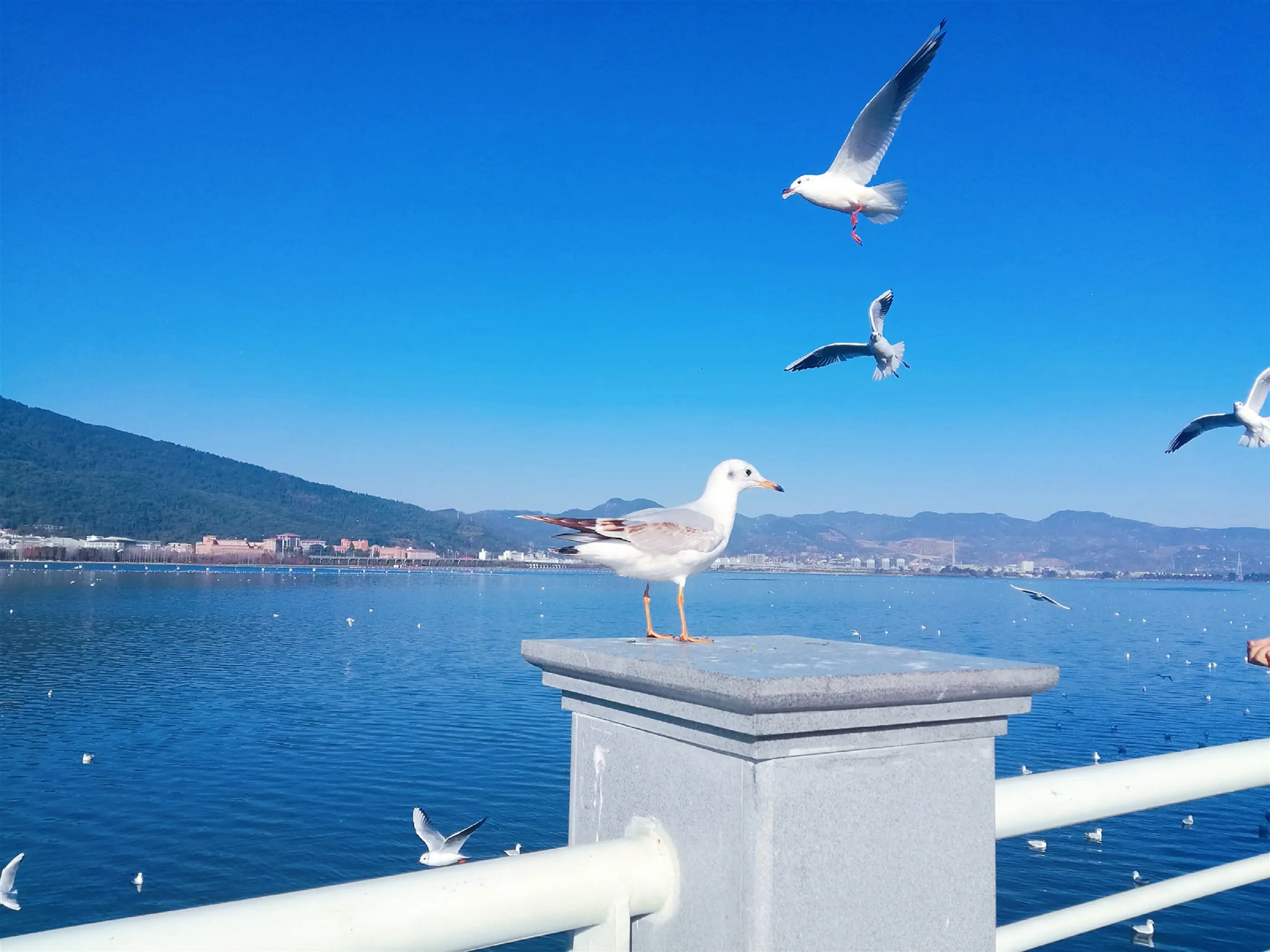 滇池