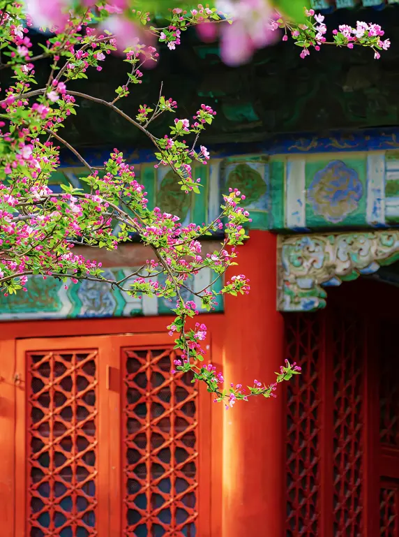 故宮博物院 5
