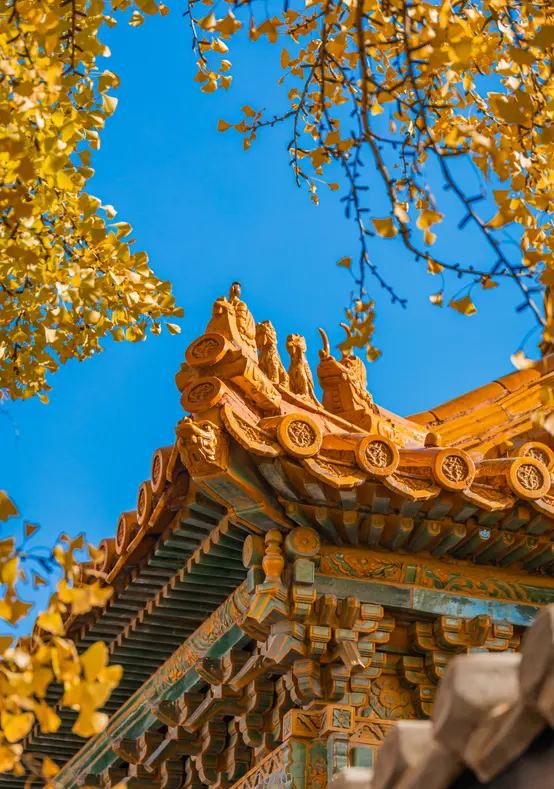 故宮博物院 2