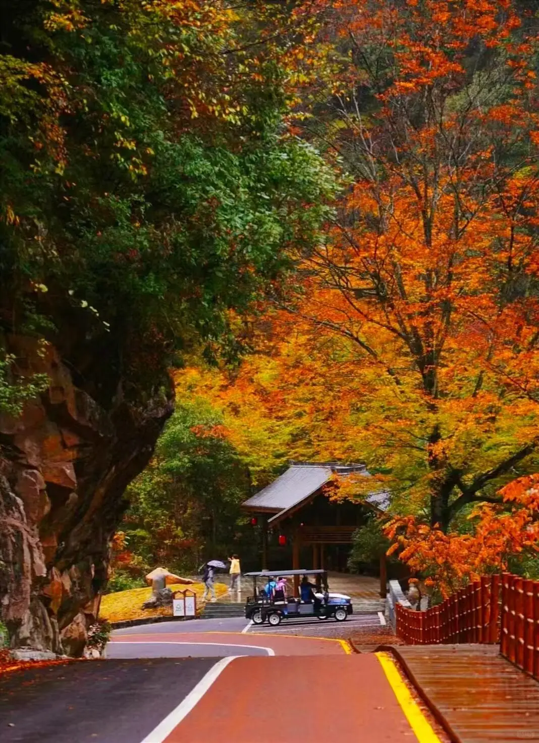 光霧山秋日遊記：走進中國最美紅葉秘境