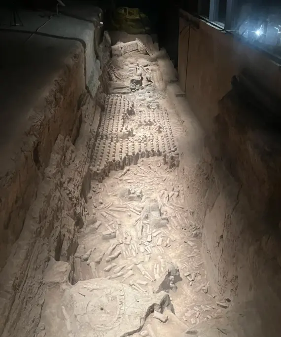 漢陽陵 5