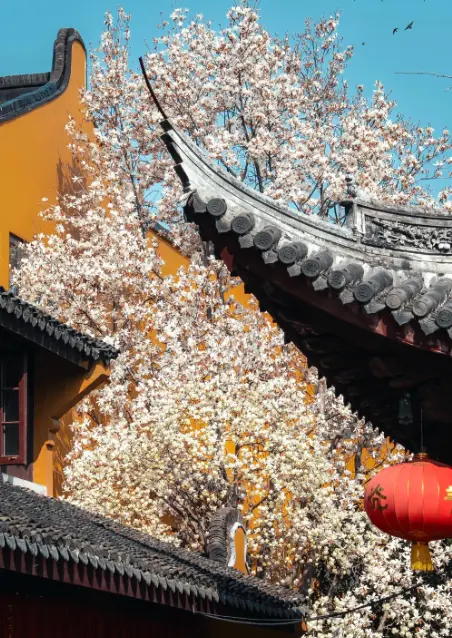 龍華寺 5