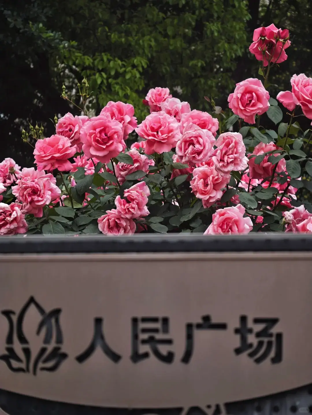 人民廣場 3