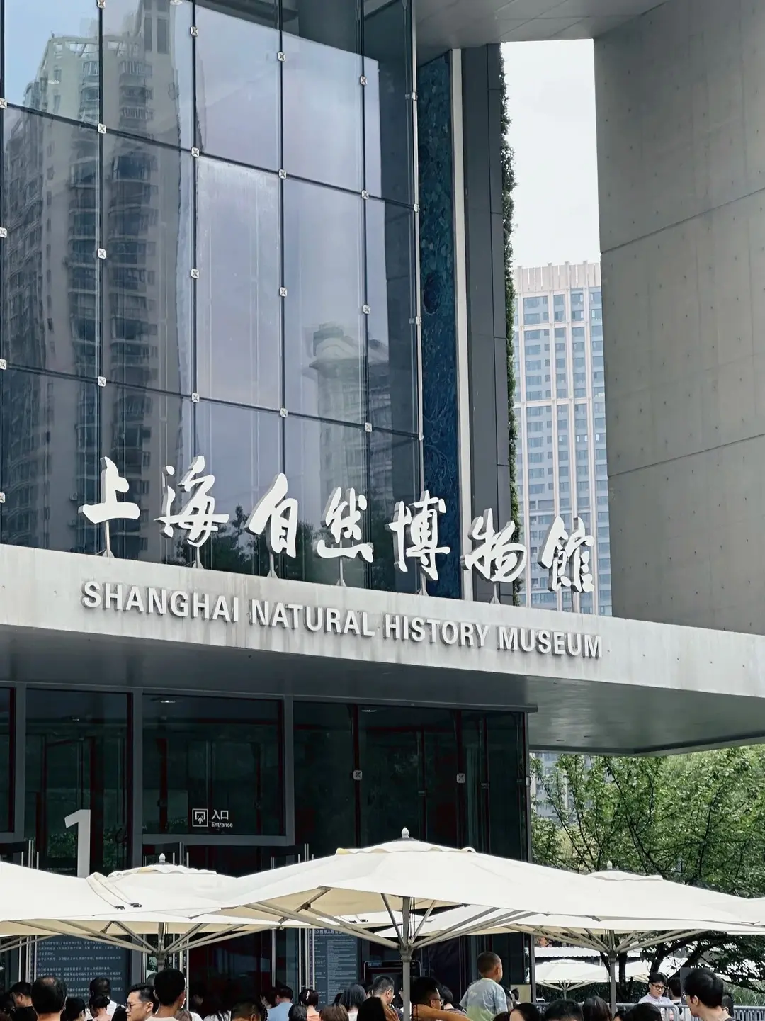 上海自然博物館 3