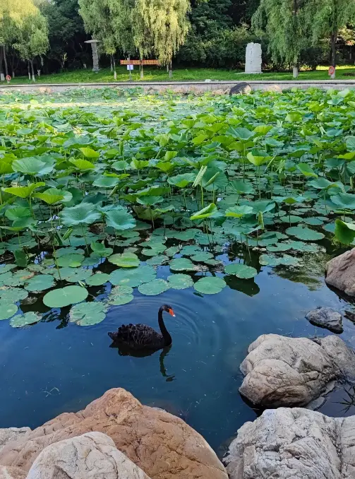 世界雕塑公園 4