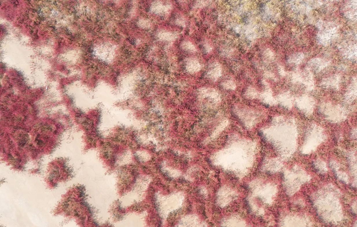紅海灘風景廊道 2