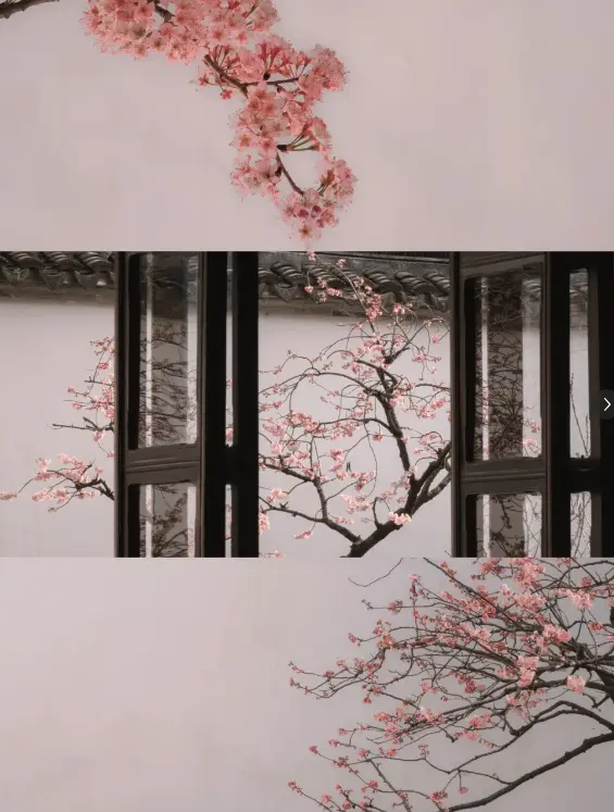 拙政園 4