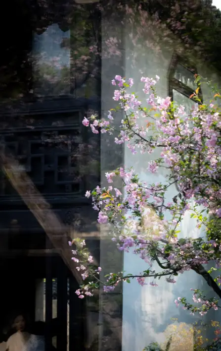 拙政園