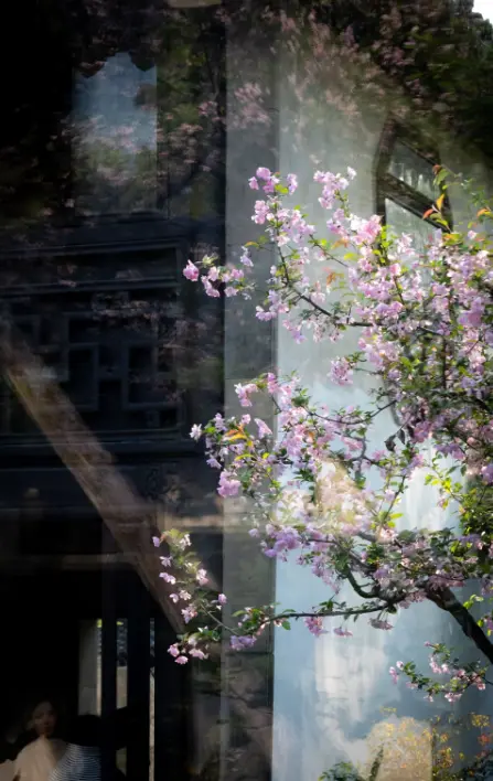 拙政園 1