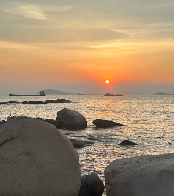 外伶仃島 4