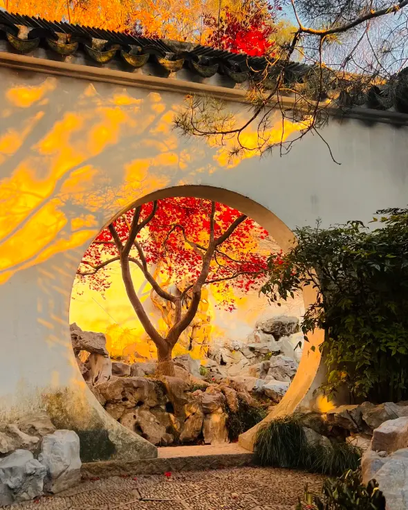 拙政園 5