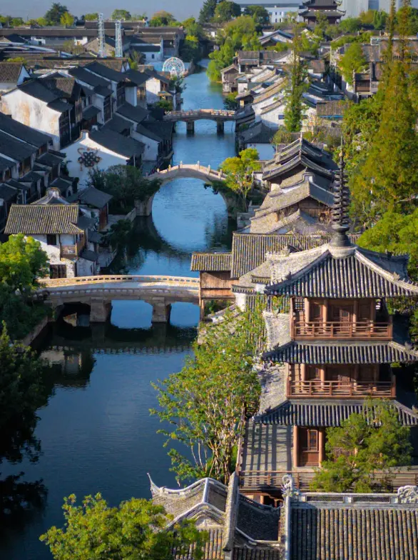 海寧鹽官錢江大潮觀景點 2