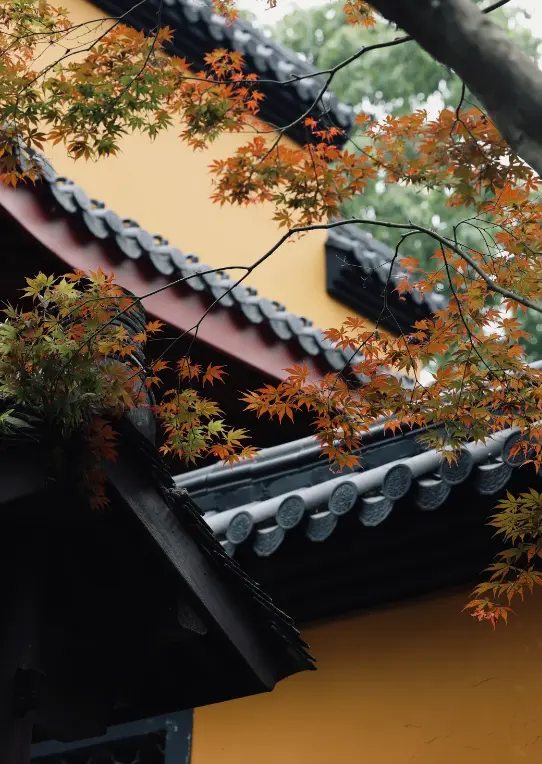 靈隱寺飛來峰景區 6
