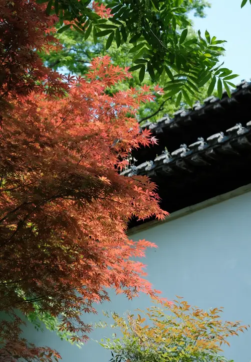 瘦西湖風景區 3