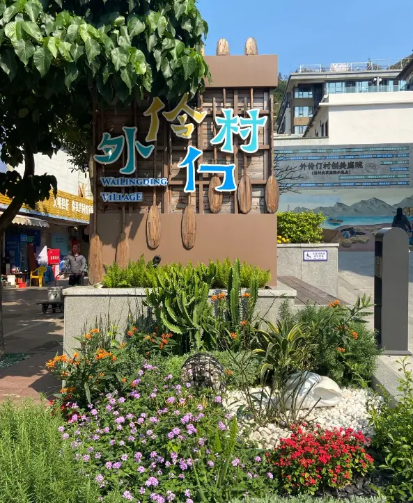 外伶仃島 5