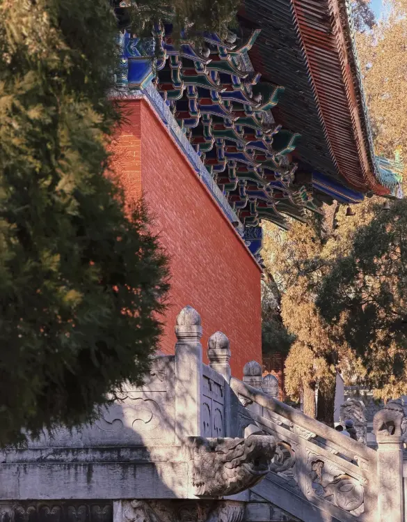 嵩山少林寺 4