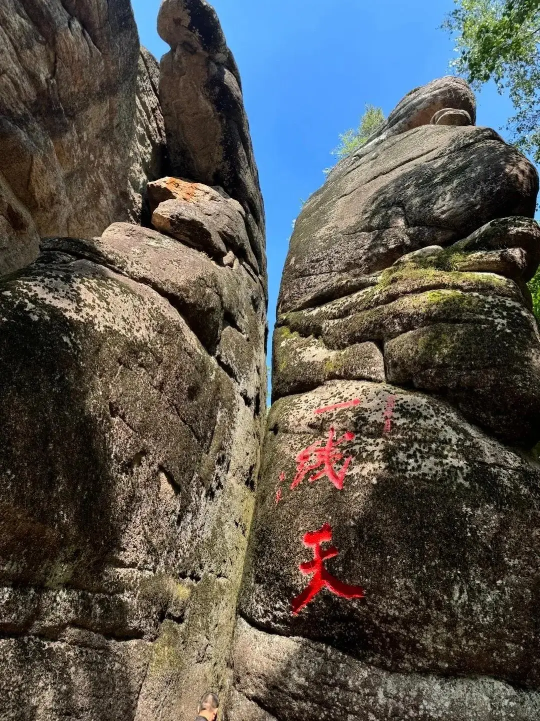 湯旺河林海奇石風景區｜小興安嶺 5A 秘境，兩億年花崗岩石林與原始紅松共生的森林地質畫卷