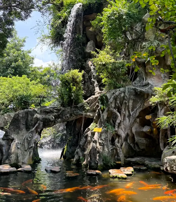 順德清暉園 5
