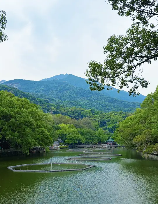 羅浮山