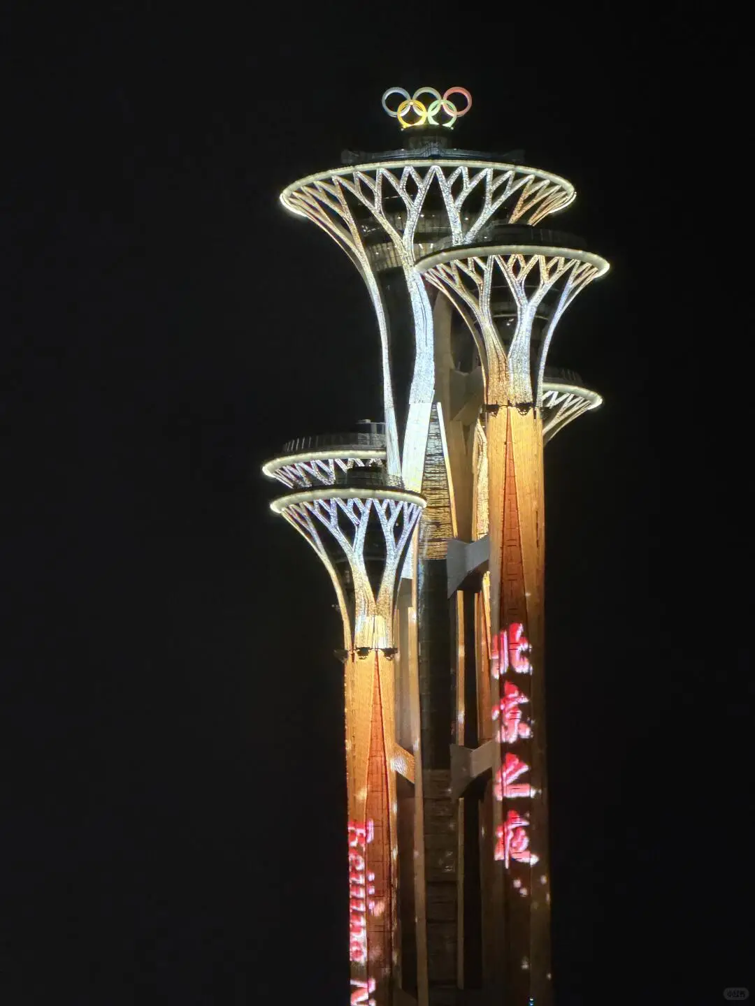 北京水立方的夜景，是城市現代感與夢幻燈光交織出的迷人畫面