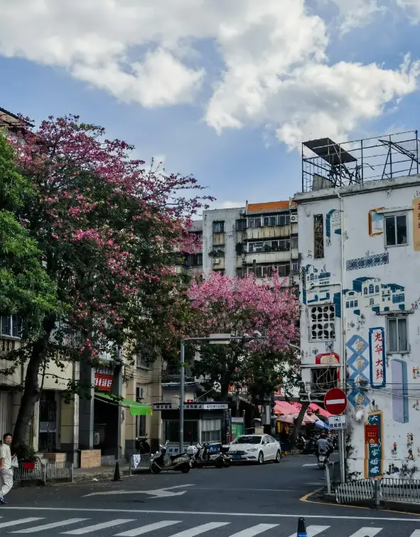 惠州市 5