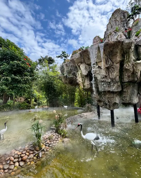 亞龍灣熱帶天堂森林公園 3