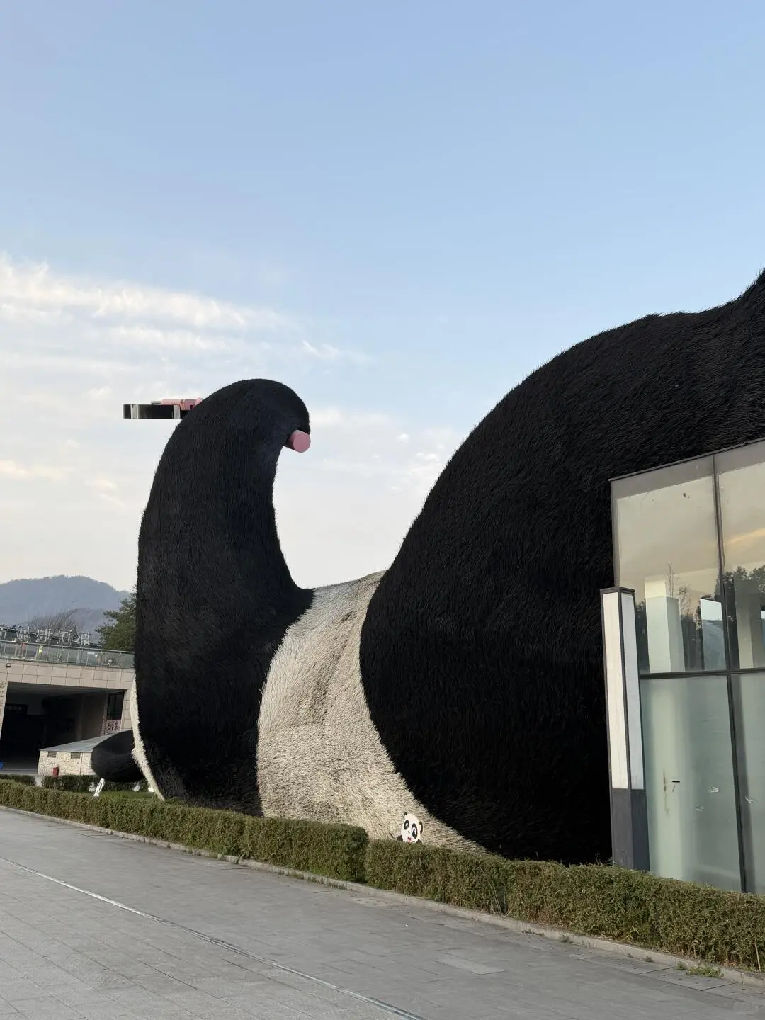 仰天窩熊貓自拍廣場 4