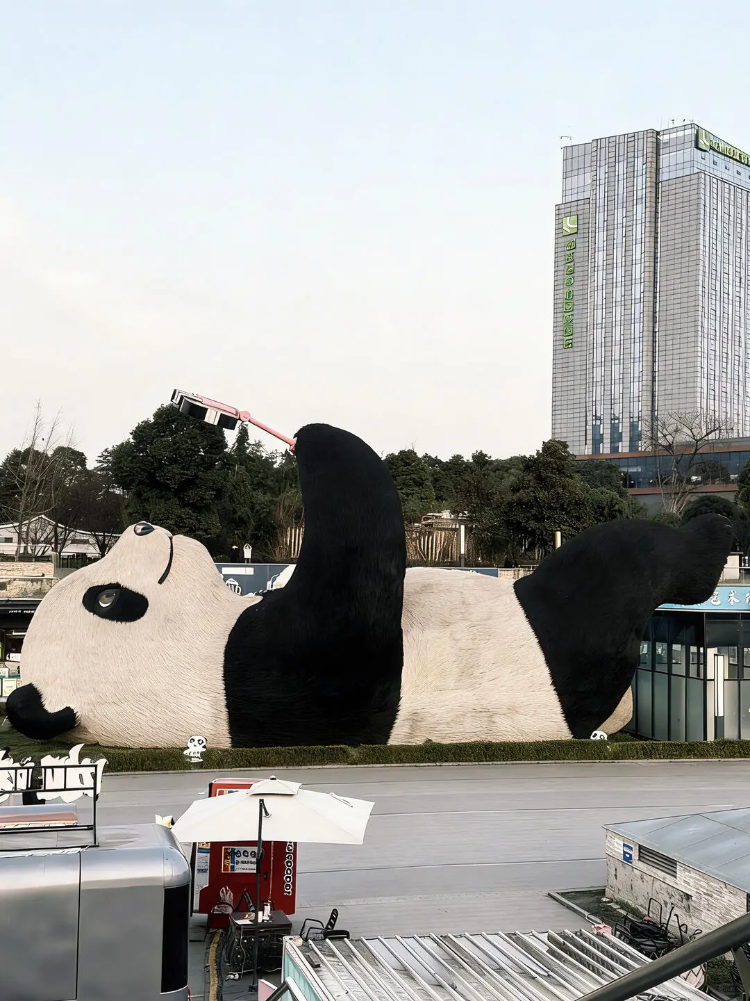 仰天窩熊貓自拍廣場 1