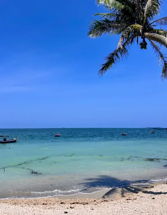 海口市 2