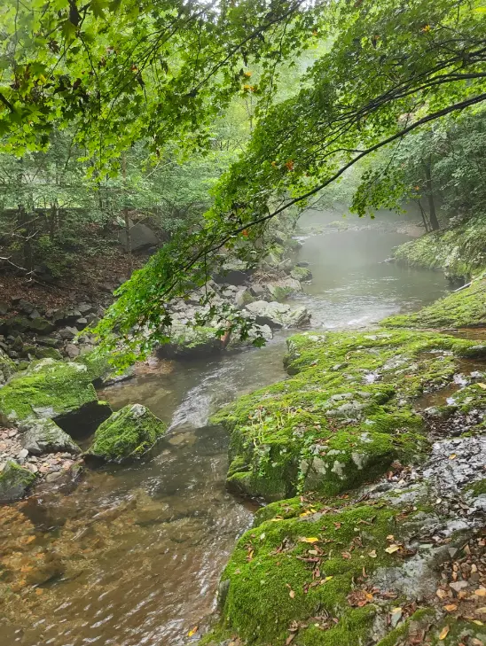 關門山國家森林公園 3