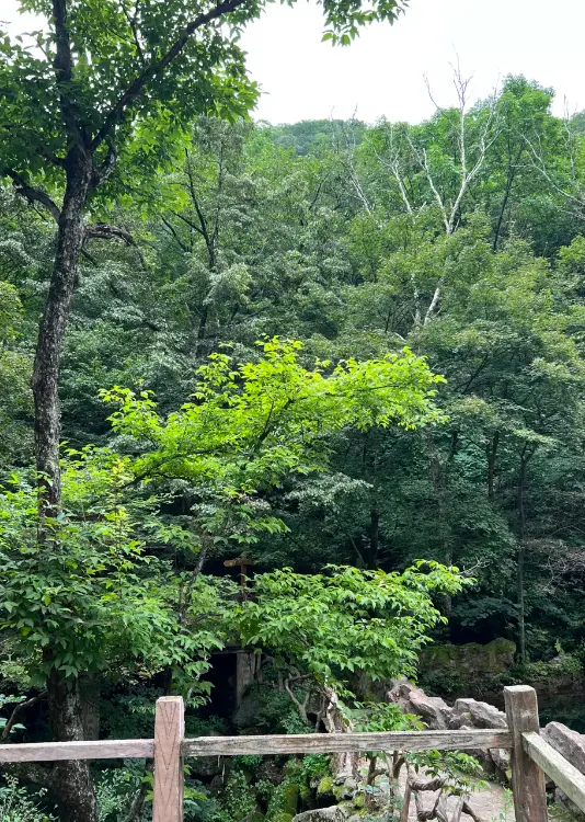 綠石谷風景區 4