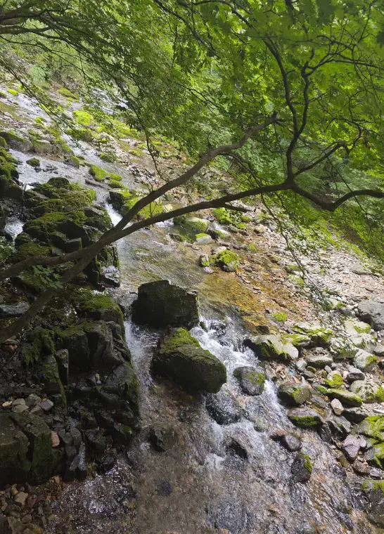 關門山國家森林公園 4