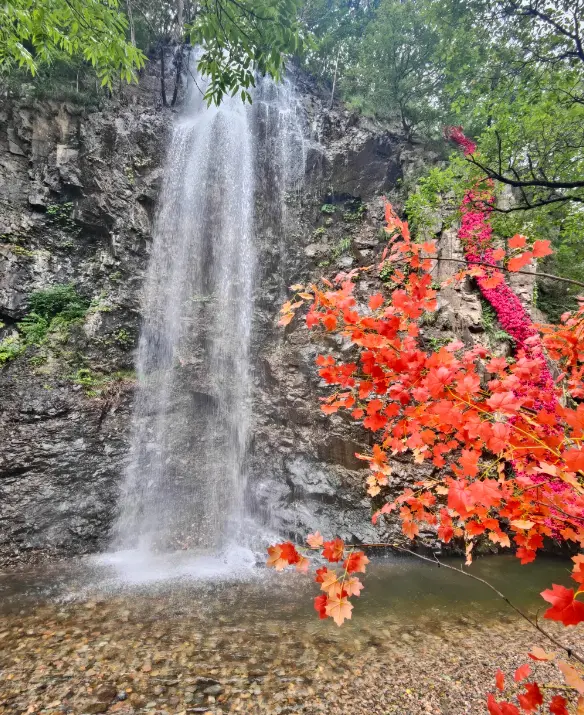 關門山國家森林公園 2