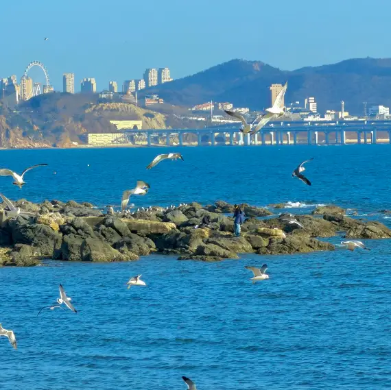 大連市 3