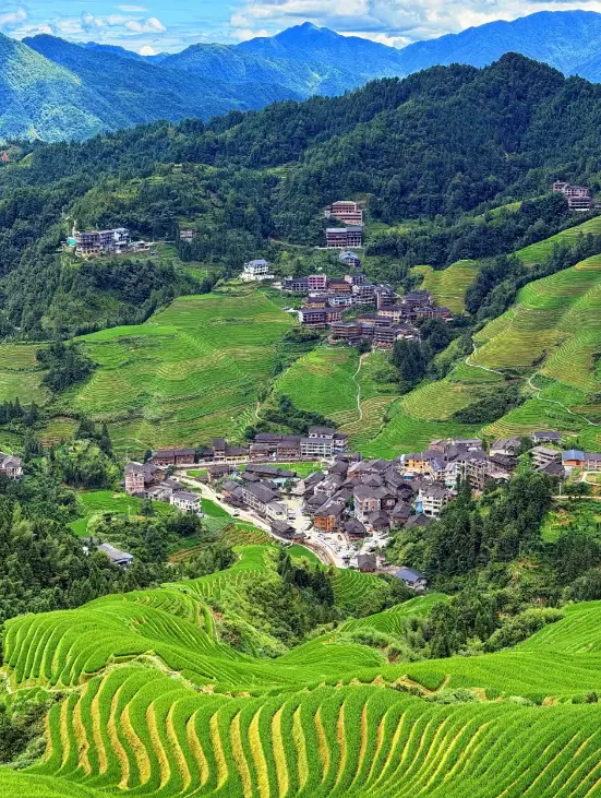 龍脊梯田 4