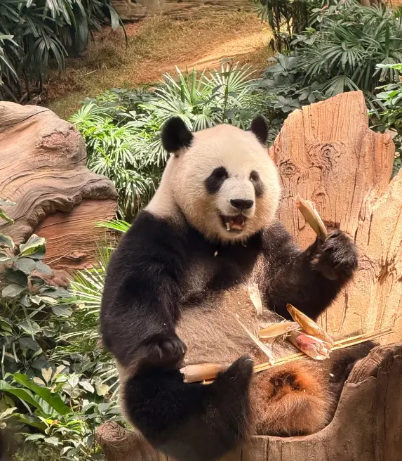 海洋公園 3