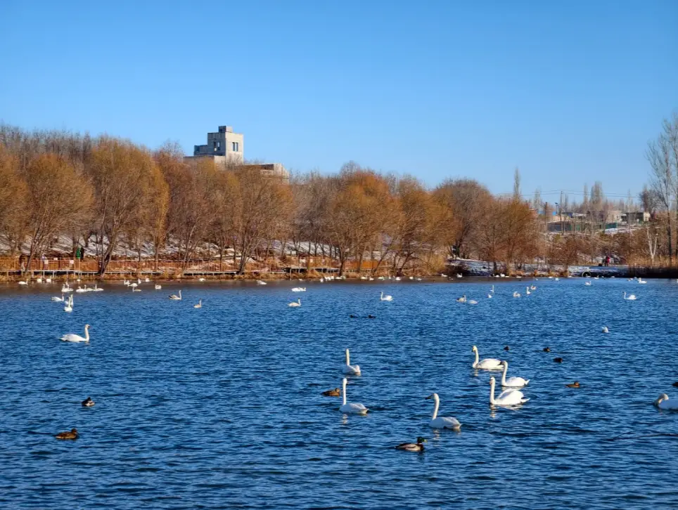 天鵝泉濕地公園
