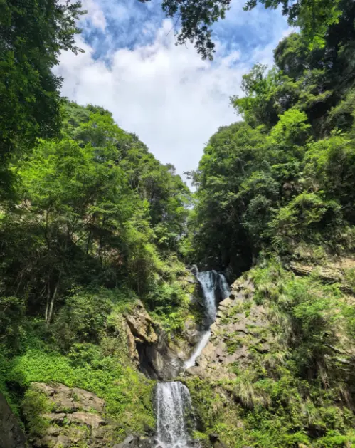 牯牛降風景區 5