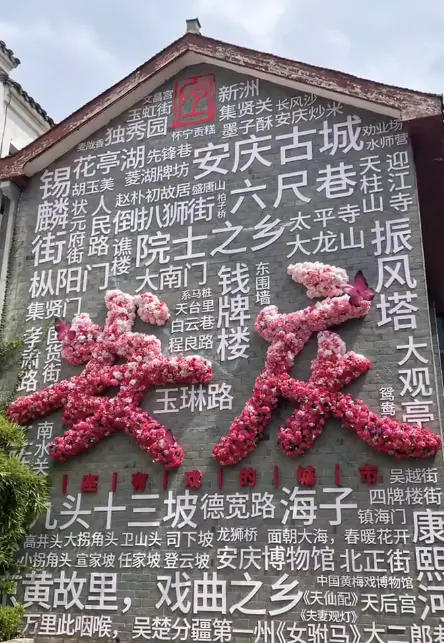 迎江寺振風塔 5