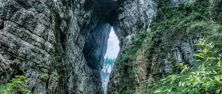 重慶出發武隆一日遊｜走進天生三橋天坑，遊覽龍水峽地縫 3