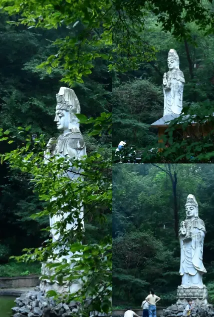 查看第 1 張圖片
